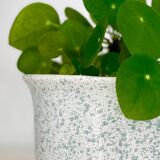 Speckled ceramic planter