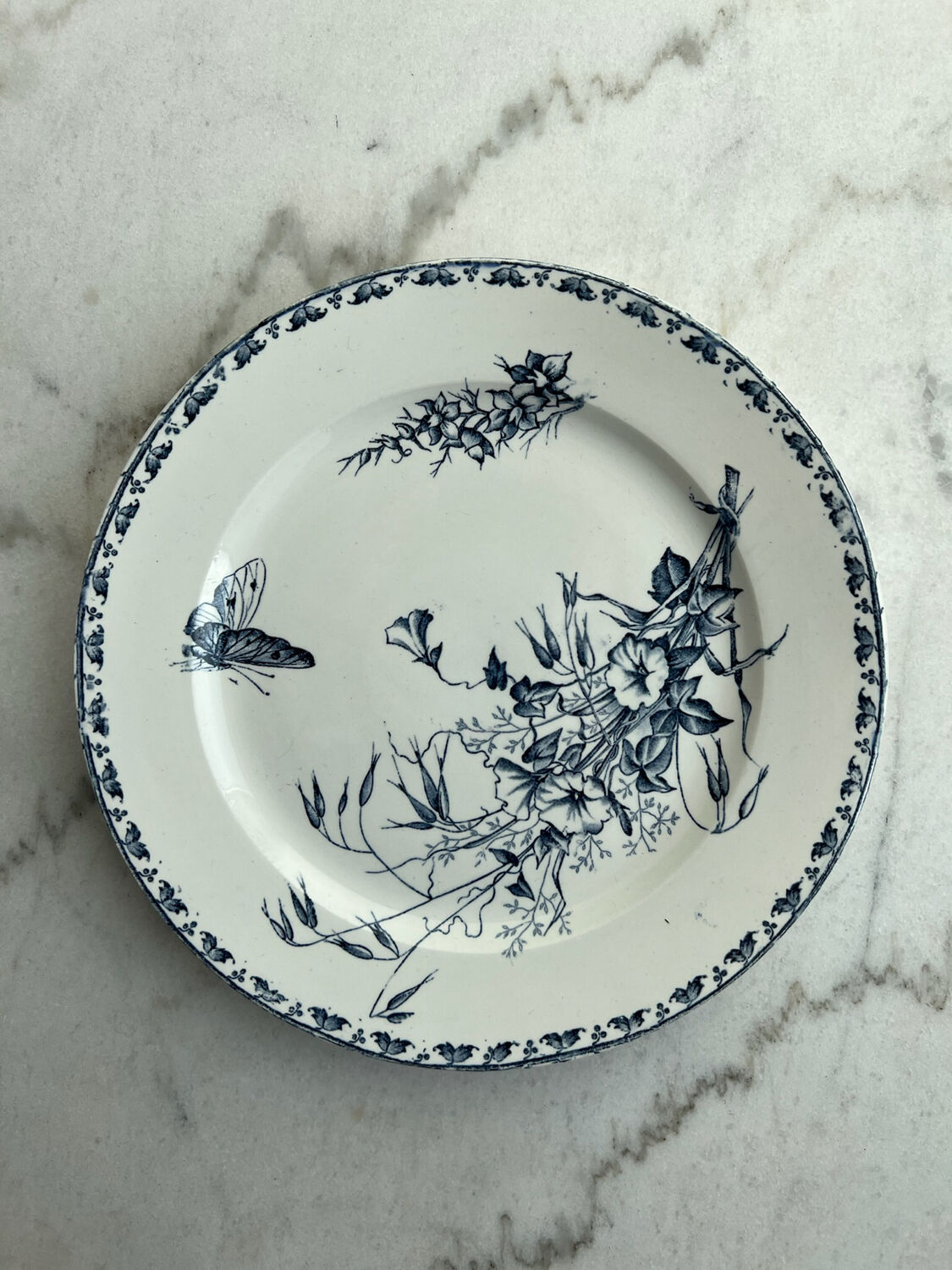 Flat plates Sarreguemines Carmen collection