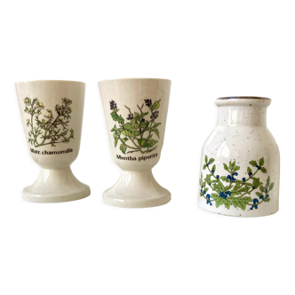 Herbarium sandstone vases