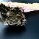 LARGE MODEL GORGON ANCIENT CORAL