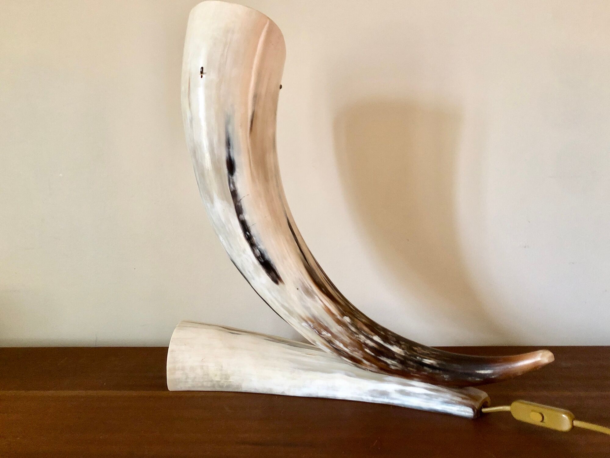 Grande lampe corne