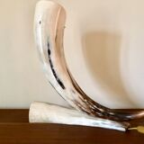 Large horn lamp