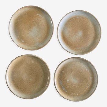 Set of 4 plates Sandstone of the marsh France