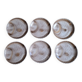 Set of 6 Sarreguemines fish plates
