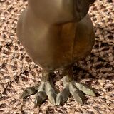 Statuette d’hibou, chouette en laiton dorée vintage