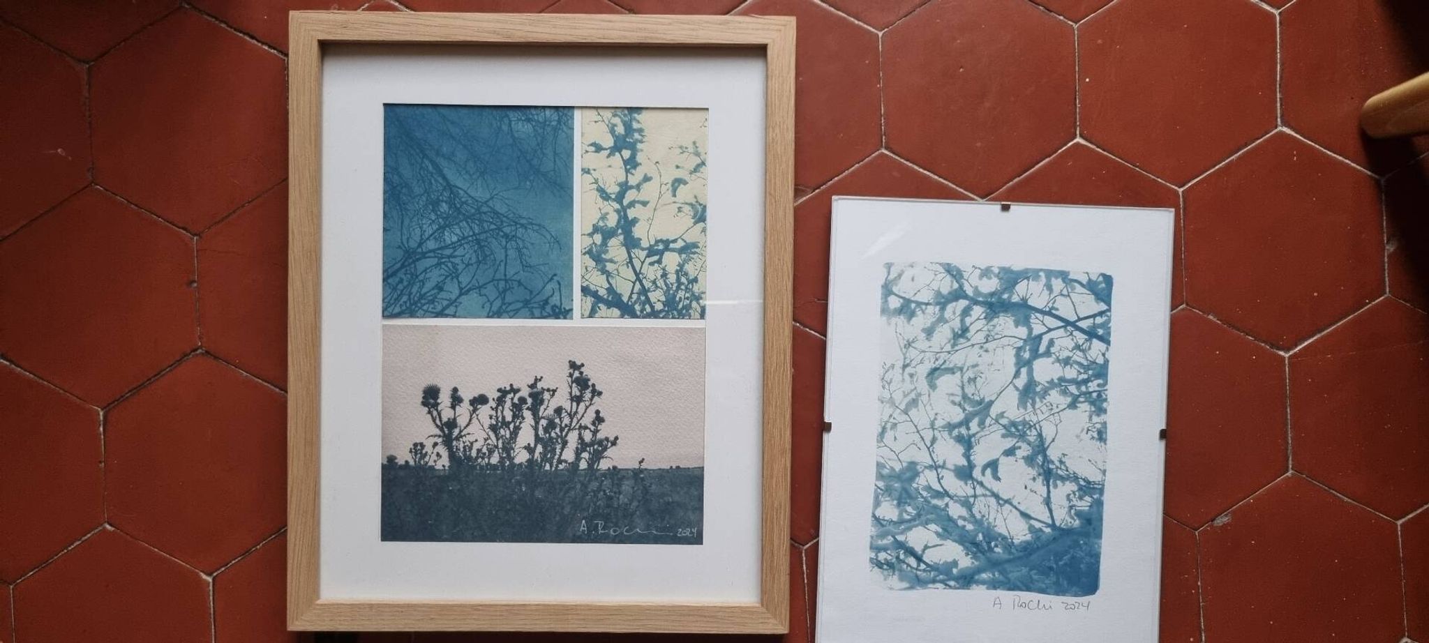 Cyanotype photography Landscape