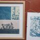 Photographie cyanotype Paysage