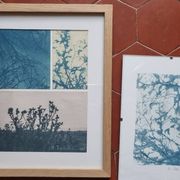 Cyanotype photography Landscape