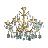 Grape variety chandelier