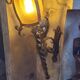 Pair of wrought iron torches