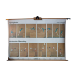 "Sports" poster published by Paul Sappl Austria 1968