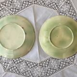 Dabbling plates