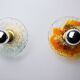 Pair of round wall lights by Murano Mazzega in frosted glass, Italy, 1970