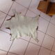 Peau de chevreau naturelle 65x53