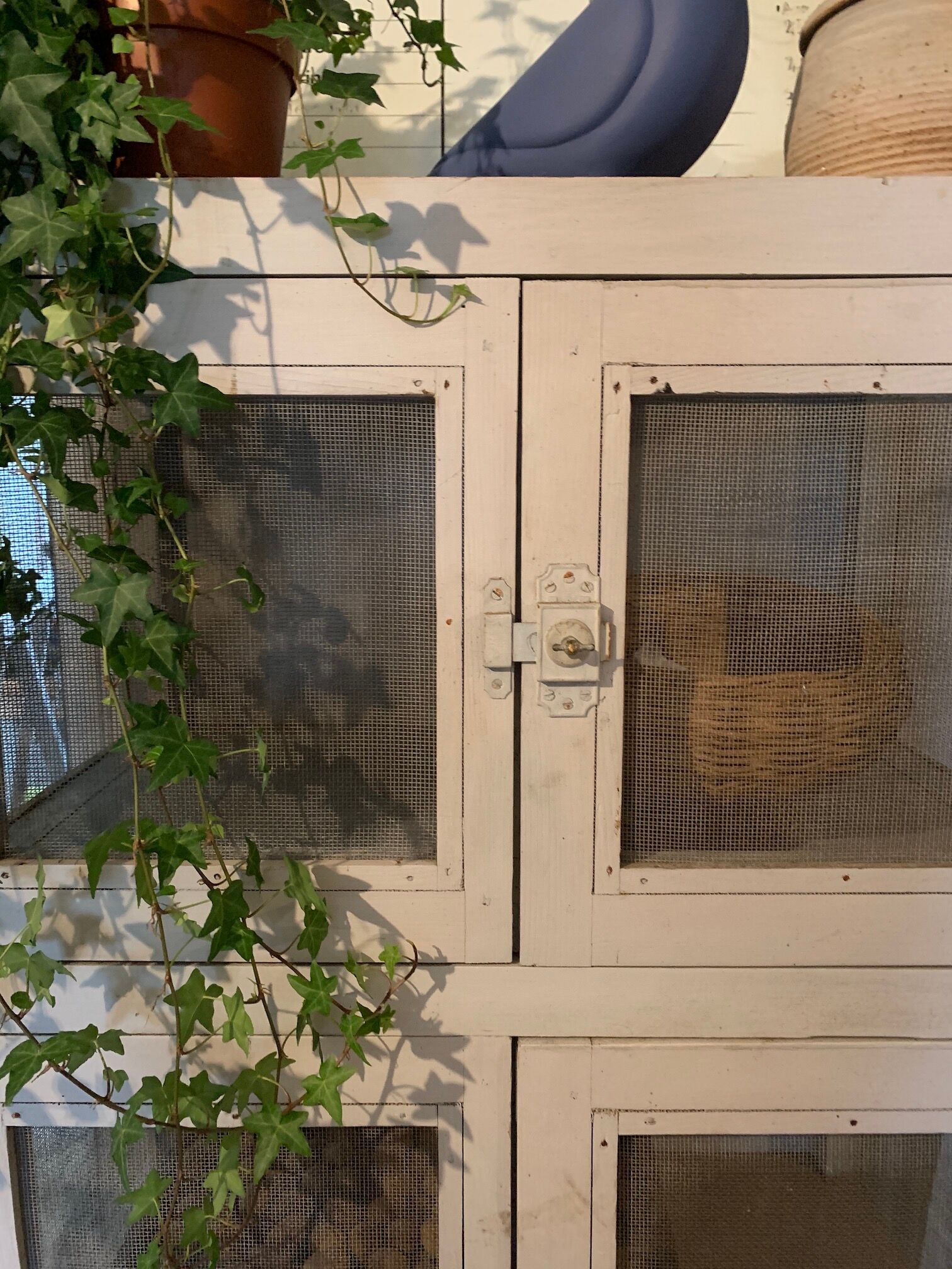 Wardrobe keeps eating