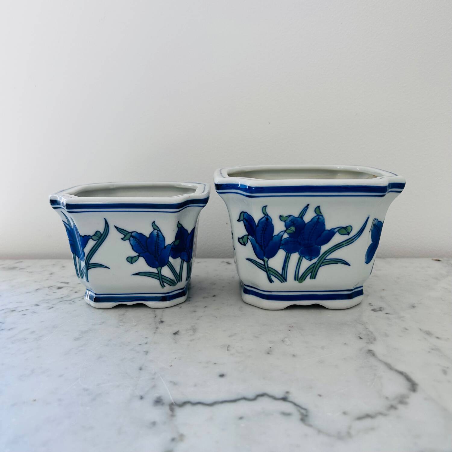Duo of decorative plant pots with blue irises.
