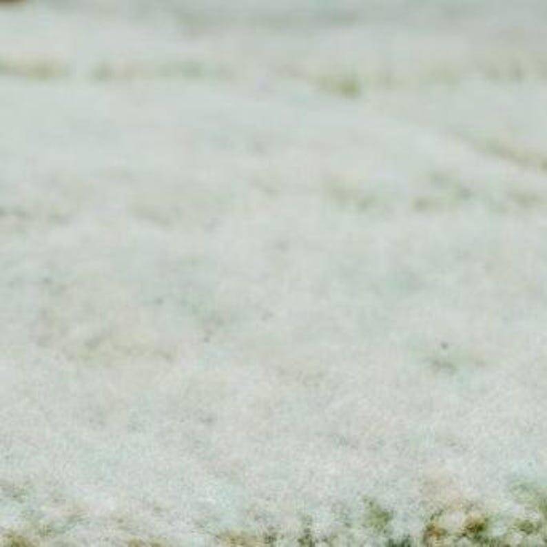 Handmade pure wool traditional green rug size 2/3 m