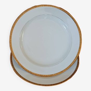 Limoges porcelain