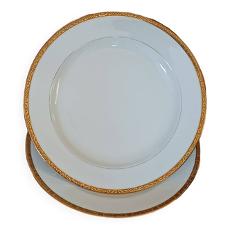 Limoges porcelain