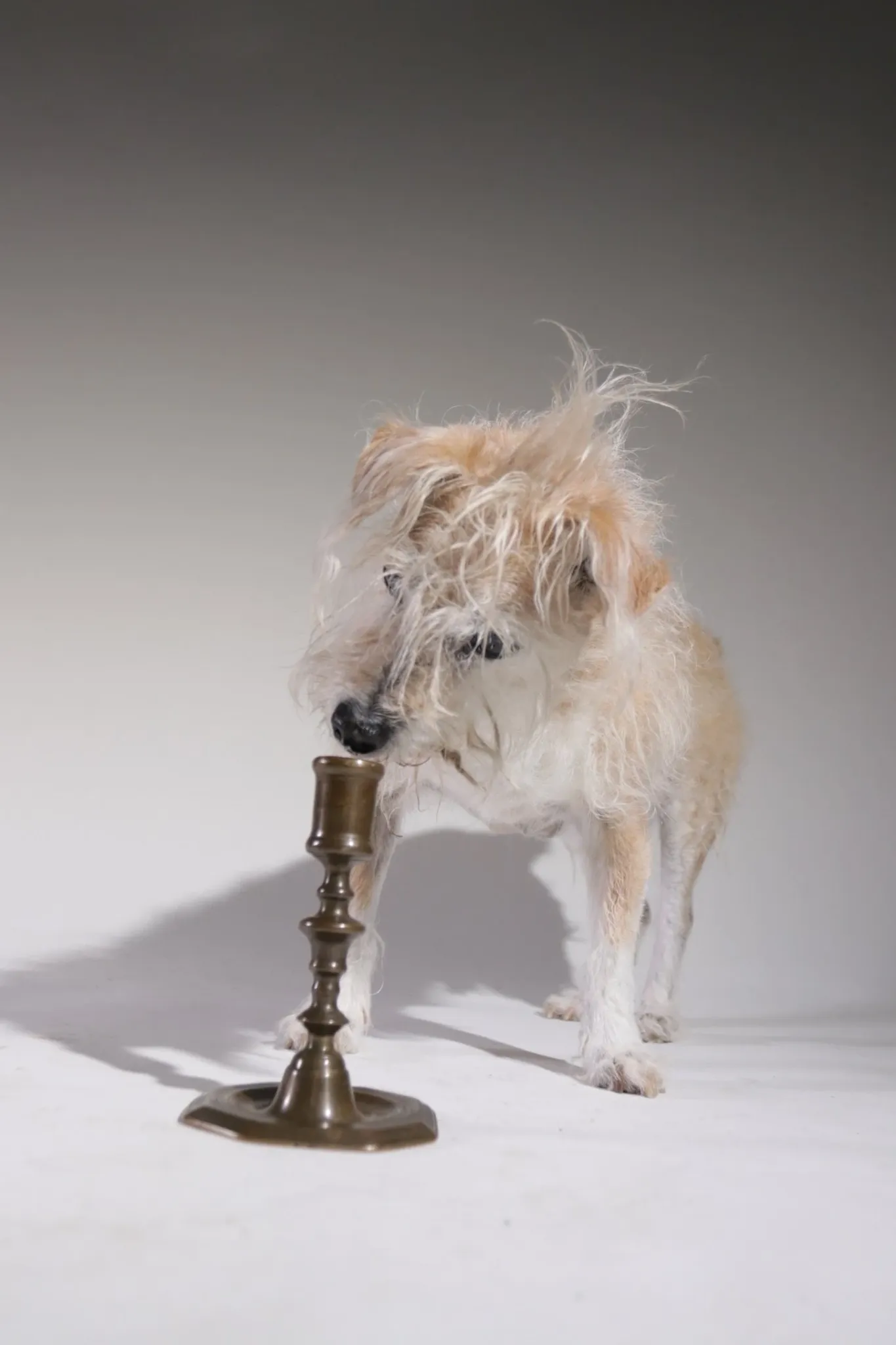 French 18th-century brass candlestick – Louis XV