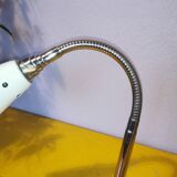 Kieklair natural science lamp, France, 1958