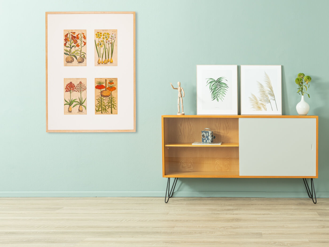 Botanical Drawings from the 18th Century, Colored Copperplate, 83 x 113 cm