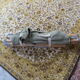 Former american style military bed