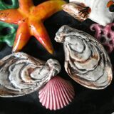 Plate in dabbling, sea decor, fish