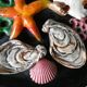 Plate in dabbling, sea decor, fish