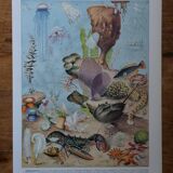Original lithograph on oceanography