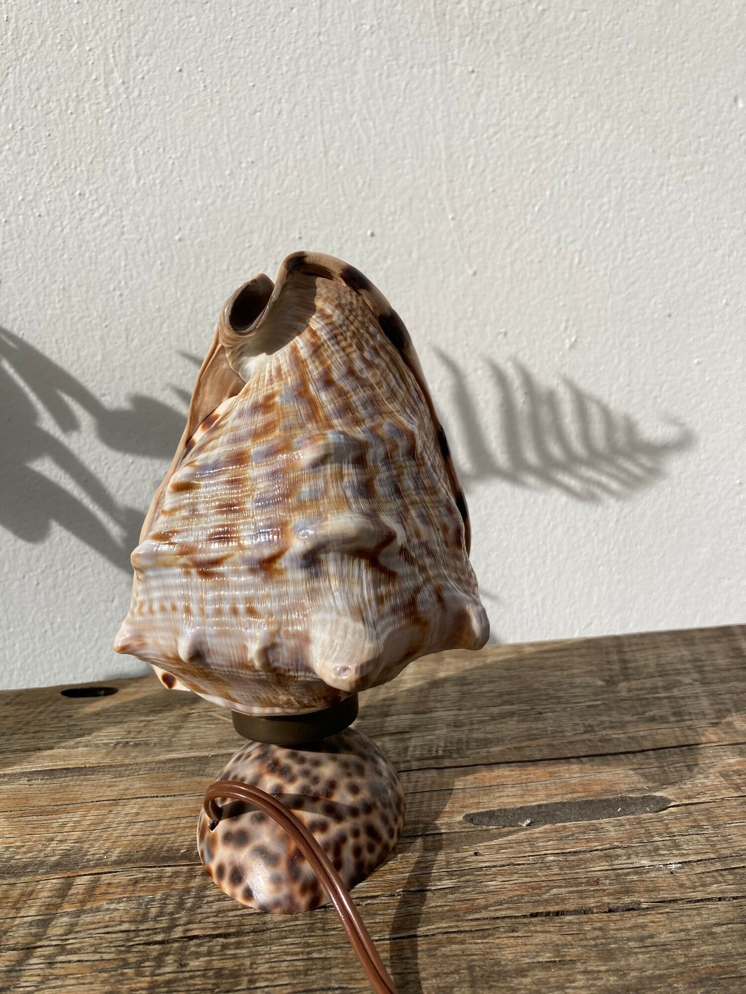Shell lamp 1970 vintage mother-of-pearl to pose or bedside