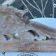 Raw carved wood coat rack