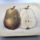 Antique botanical engraving from 1922 by A.Vasset • Duchess pear • fruit
