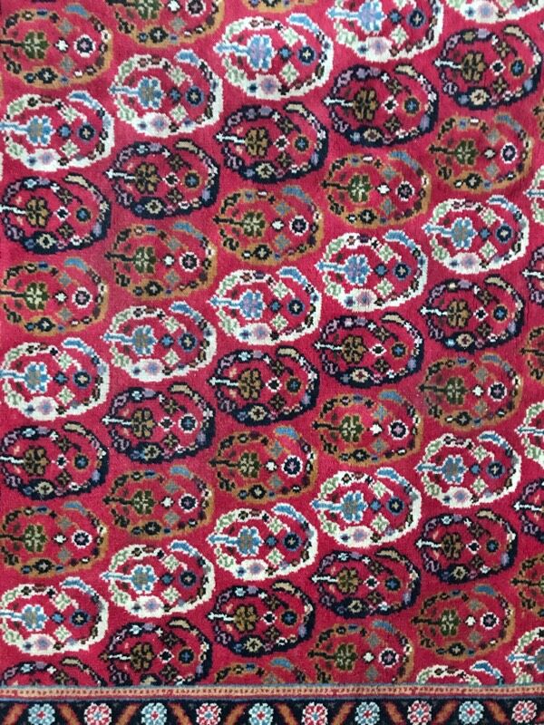 Carpet  Transylvania  170 x 268 cm