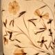 Paire de lampe de chevet vintage