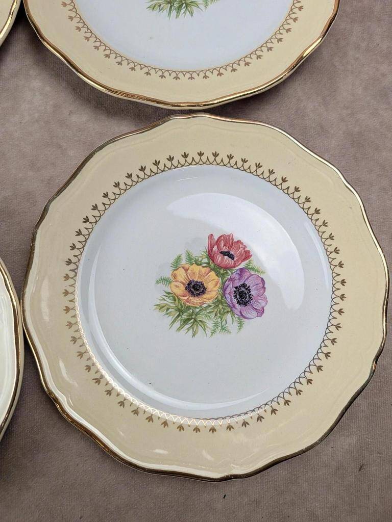 Set of 10 vintage dessert plates L’amandinoise Coopélia
