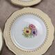 Set of 10 vintage dessert plates L’amandinoise Coopélia