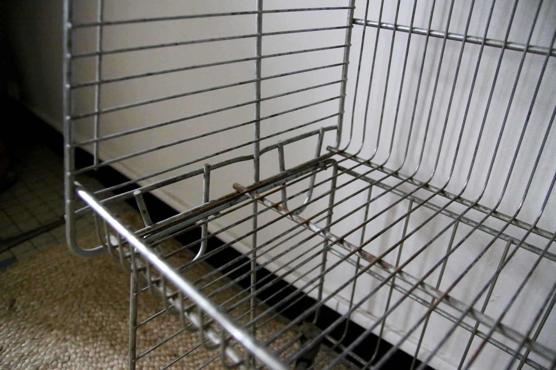 Vintage grocery shelf