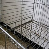 Vintage grocery shelf