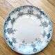 Lot 2 old porcelain plates of St Amand model Prima