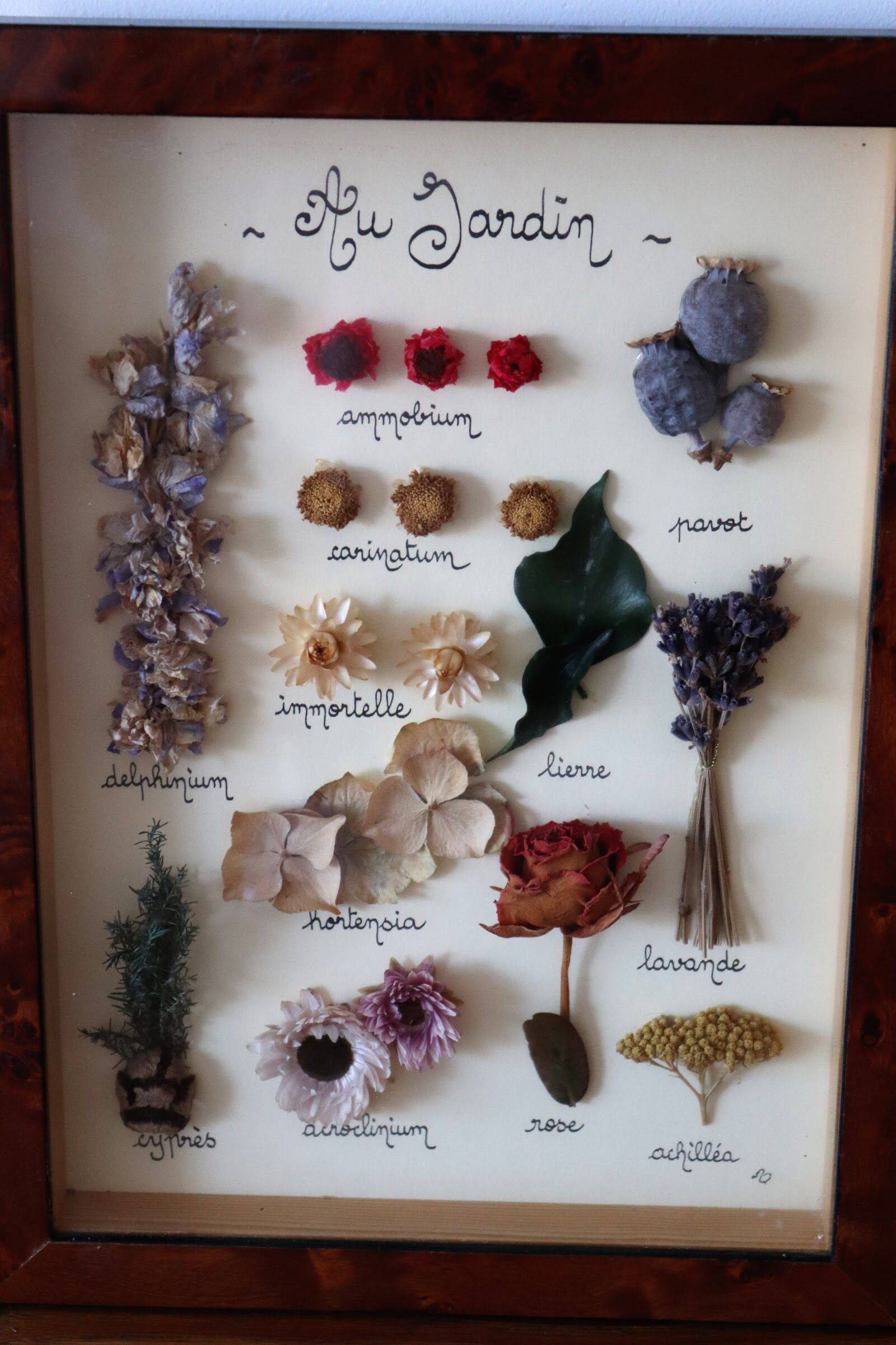 Vintage dried flowers frame