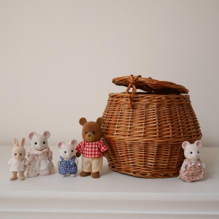 Basket box with lid or pocket tray