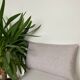 Pearl grey cushion