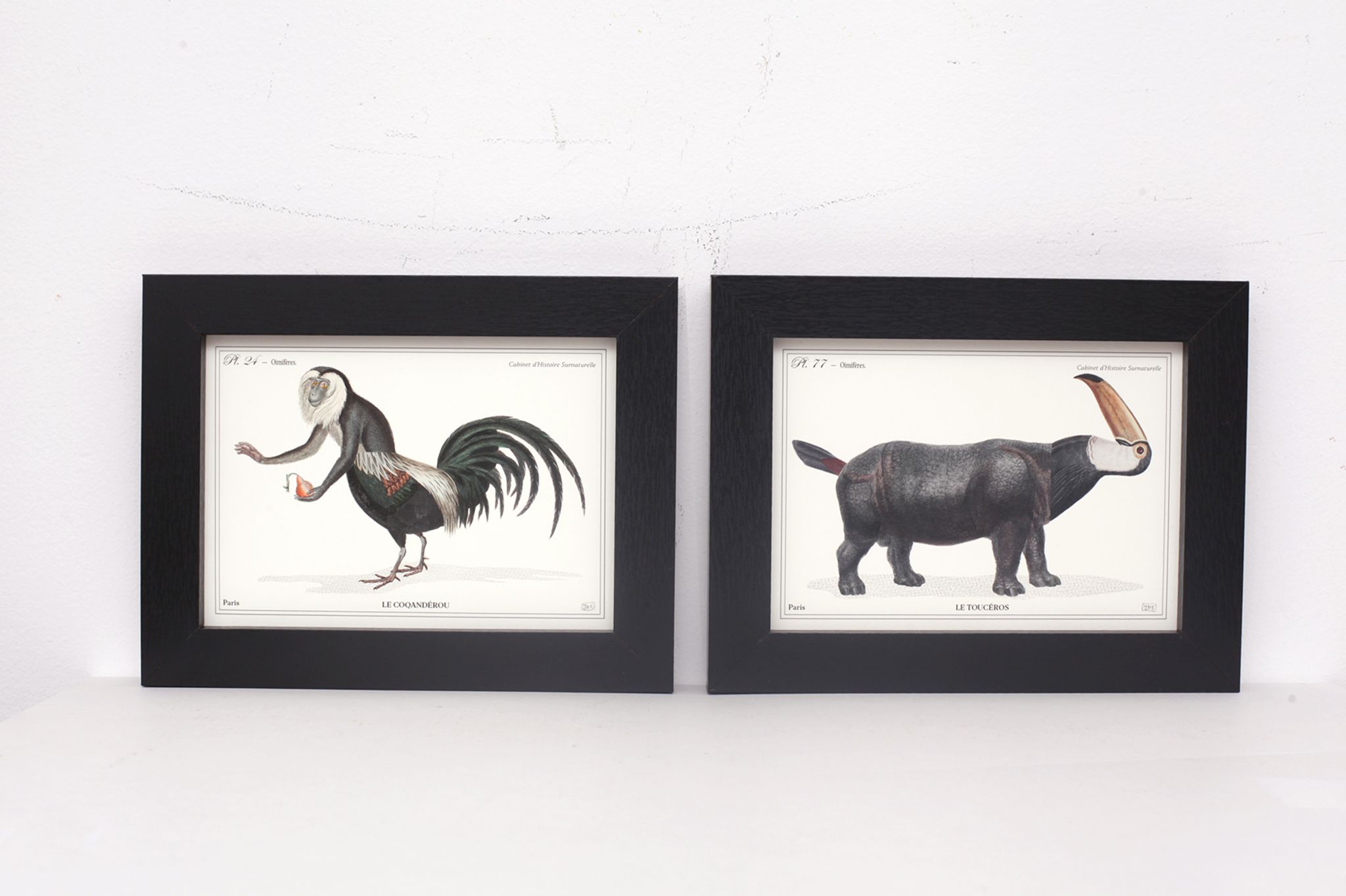 Lot de 2 chimère encadrées lithographie gravure animal