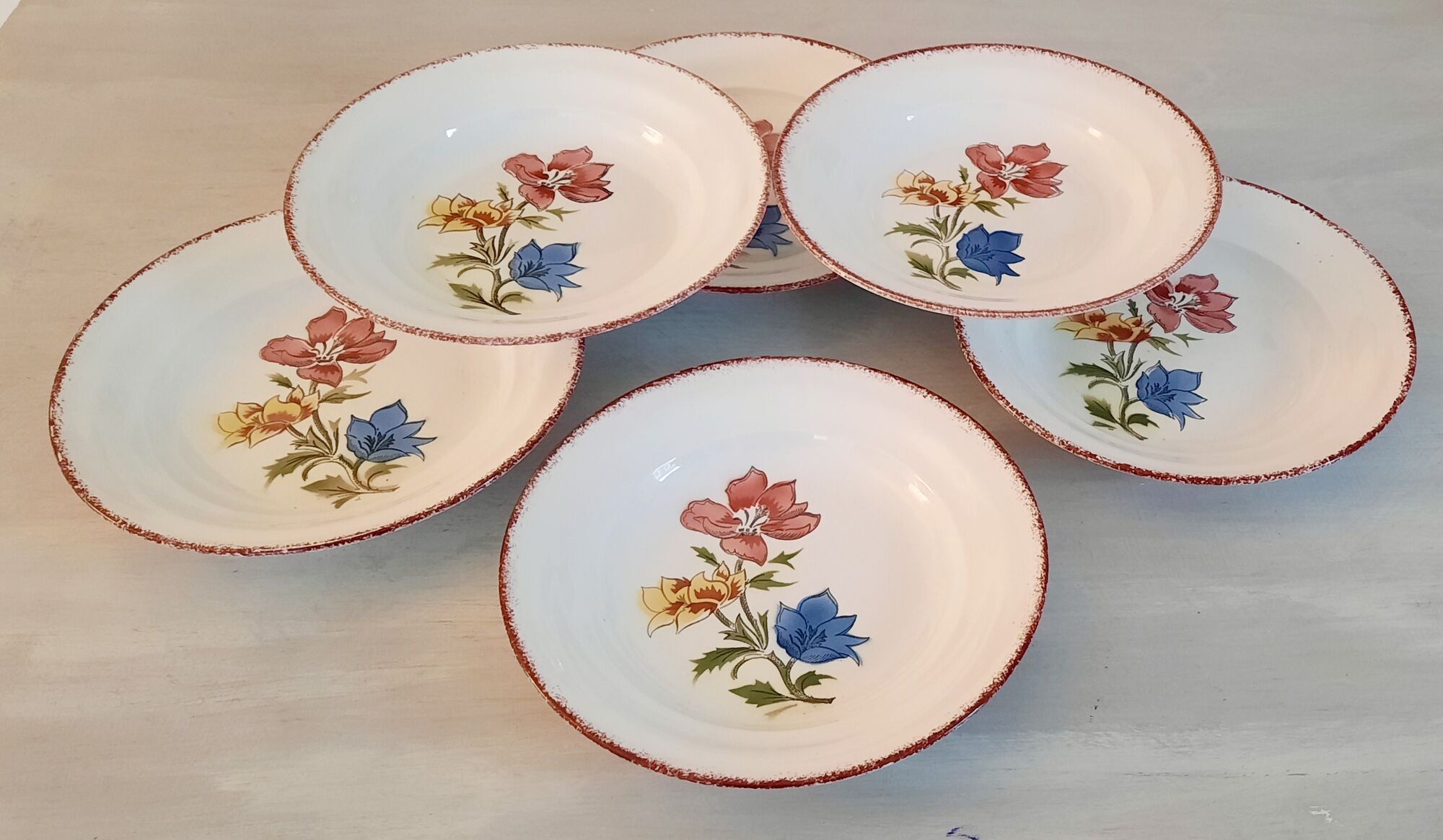 Hollow earthenware plates from Saint Amand Ceranord Vintage Maïté Model