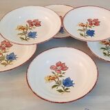 Hollow earthenware plates from Saint Amand Ceranord Vintage Maïté Model