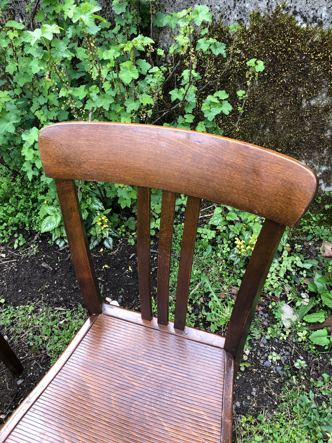 Duo chairs bistrot Stella