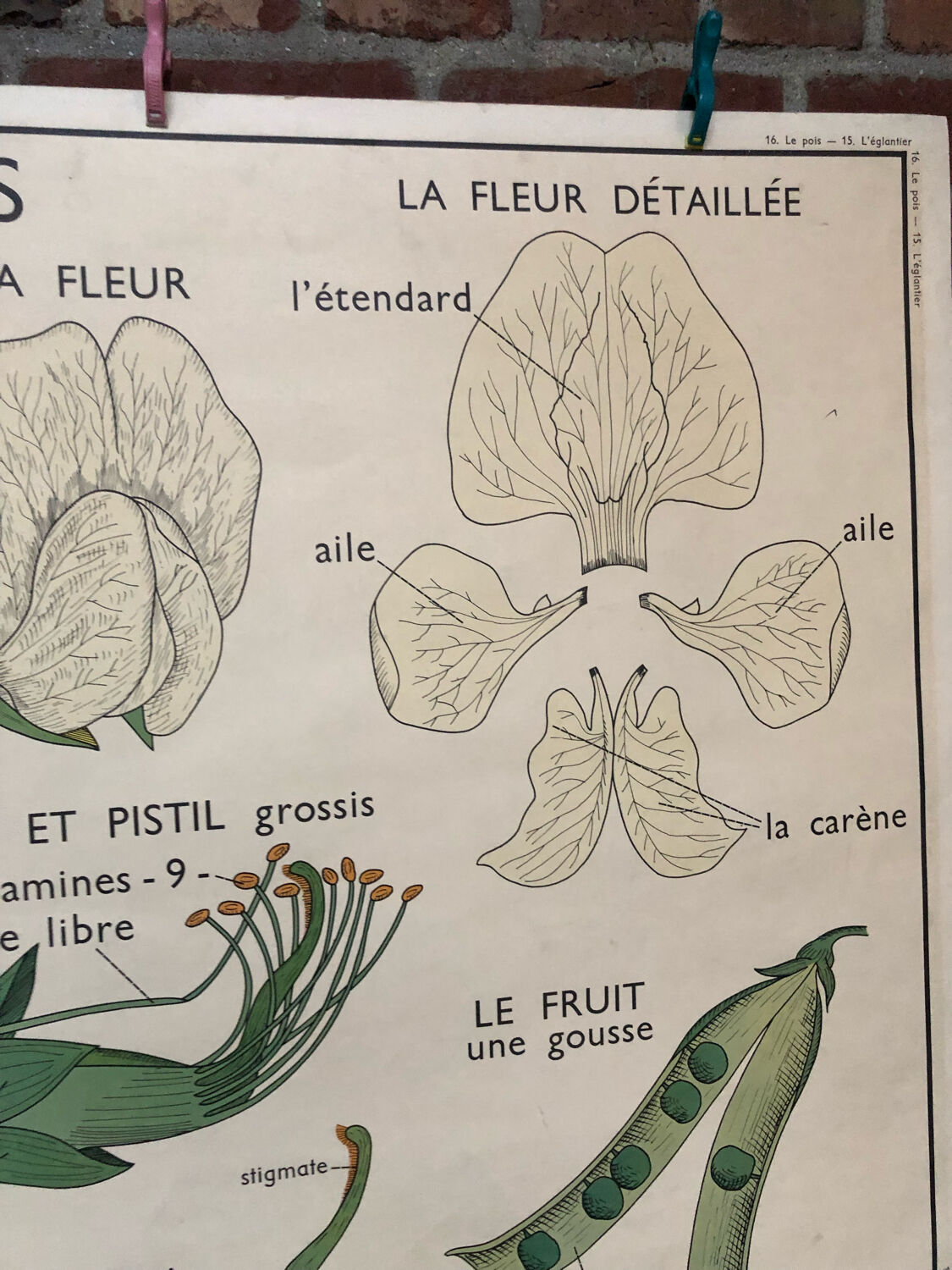 Old double-sided Rossignol school poster
