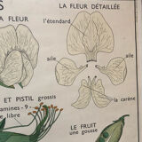 Old double-sided Rossignol school poster