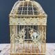 Square metal birdcage